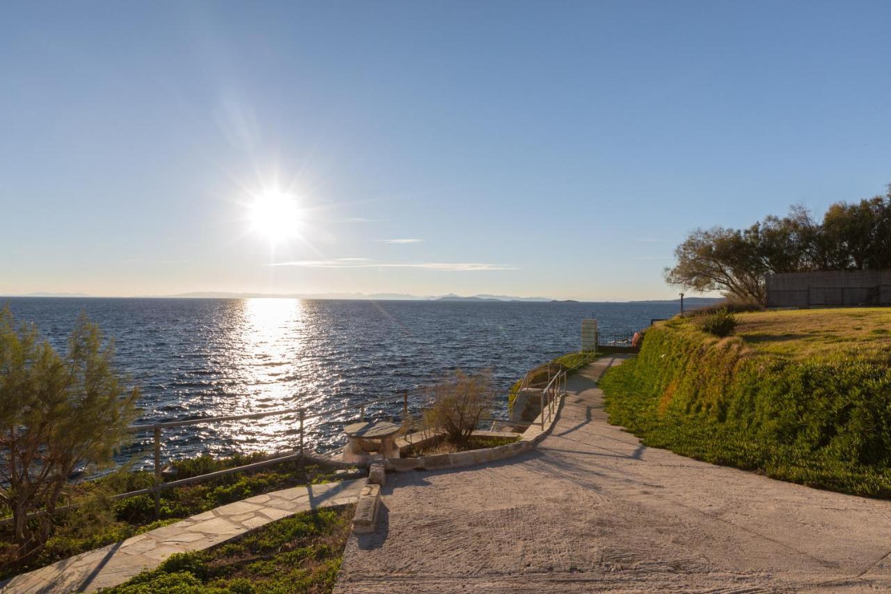 Luxurious Villa Philoxenia Lagonisi Dış mekan fotoğraf
